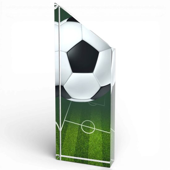 Everest Football Trophy