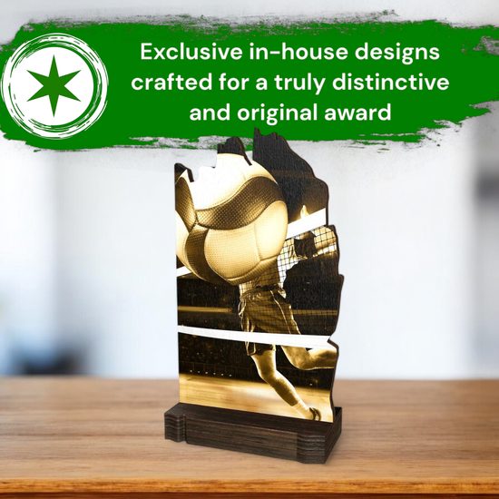 Shard Classic Volleyball Eco Friendly Wooden Trophy