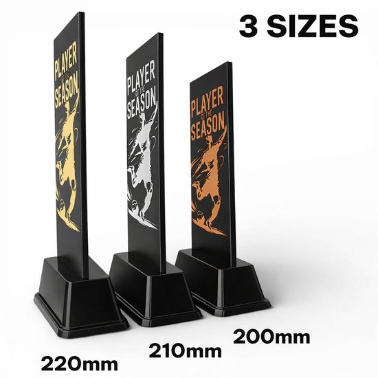 Shadowline Gymnastics Club Spirit Award Trophy – Stainless Steel Award