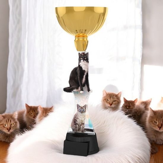 Vancouver Cat Show Gold Cup Trophy