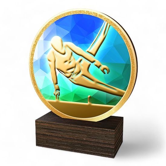 Holt Colour Male Gymnastics Arts Real Wood Trophy