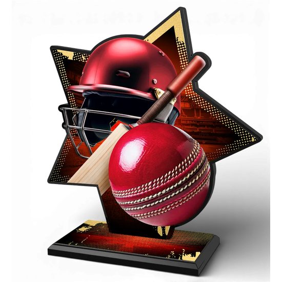 Liano Metal & Acrylic Star Cricket Trophy