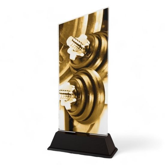 Peak Weightlifing Dumbells Trophy