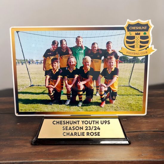 Edison Photo Custom Made Acrylic Award