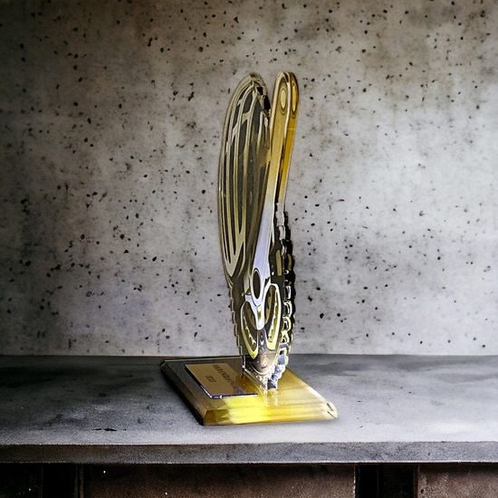 Cannes Classic Mountain Biking Trophy