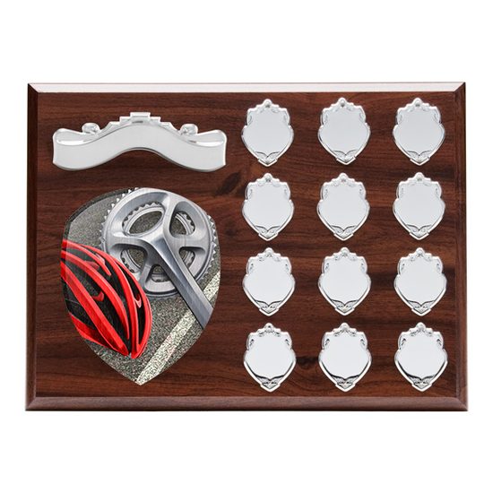 Wessex Cycling Wooden 12 Year Annual Shield