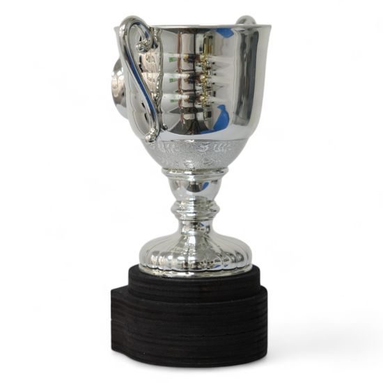 Beacon Silver Logo Cup