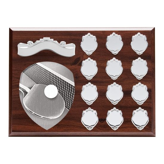 Wessex Table Tennis Wooden 12 Year Annual Shield