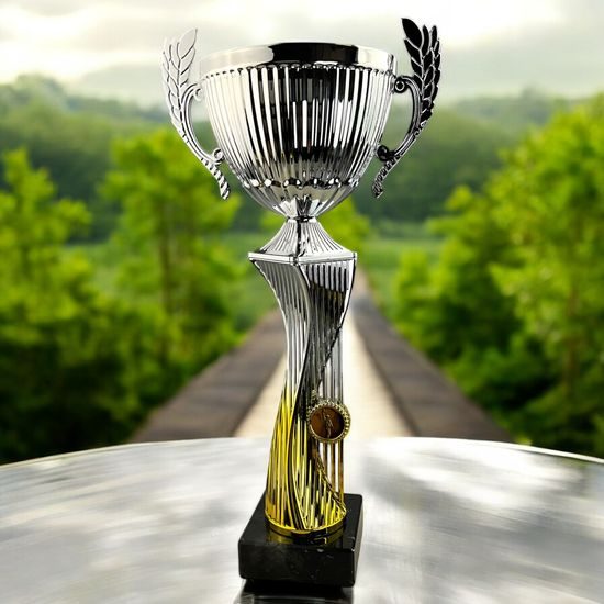 Almena Silver and Gold Cup