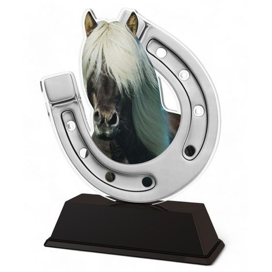 Ostrava Silver Horse Shoe Trophy