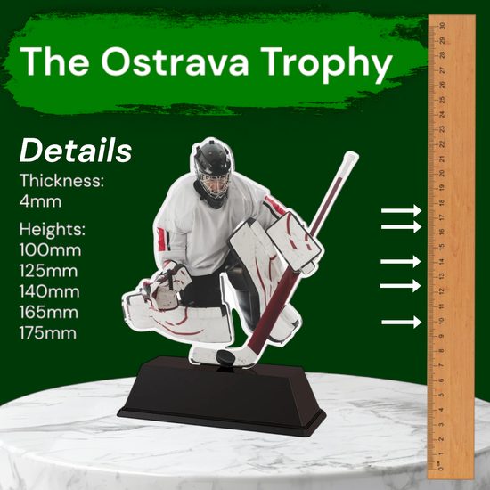 Ostrava Ice Hockey Player Trophy