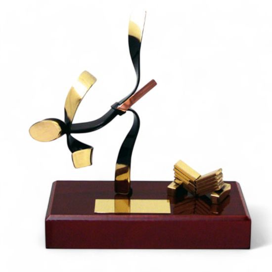 Barcelona Karate Handmade Metal Trophy