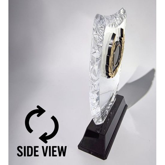 Iceberg Logo Insert Trophy