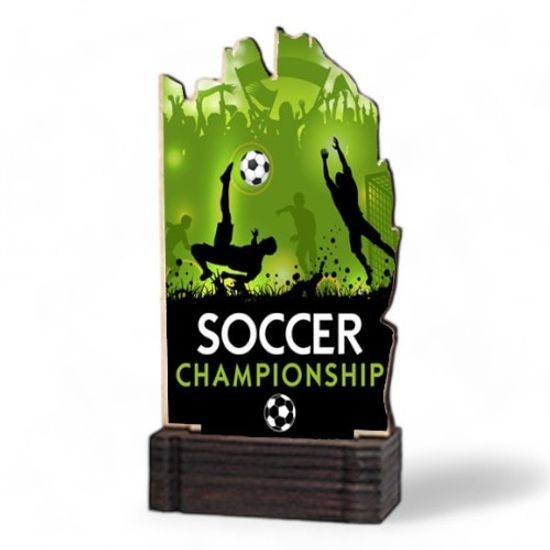 Shard Custom Made Real Wood Award