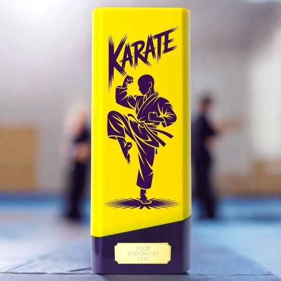 Tower Elite Heavyweight Men's Karate Trophy
