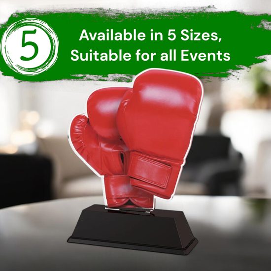 Ostrava Boxing Trophy