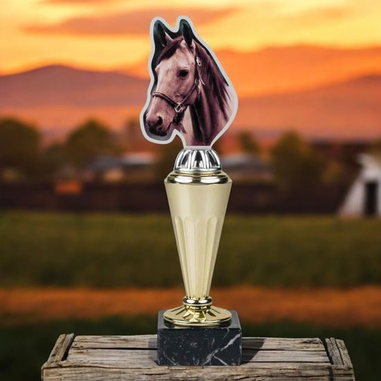 Capri Equestrian Horse Riding Trophy