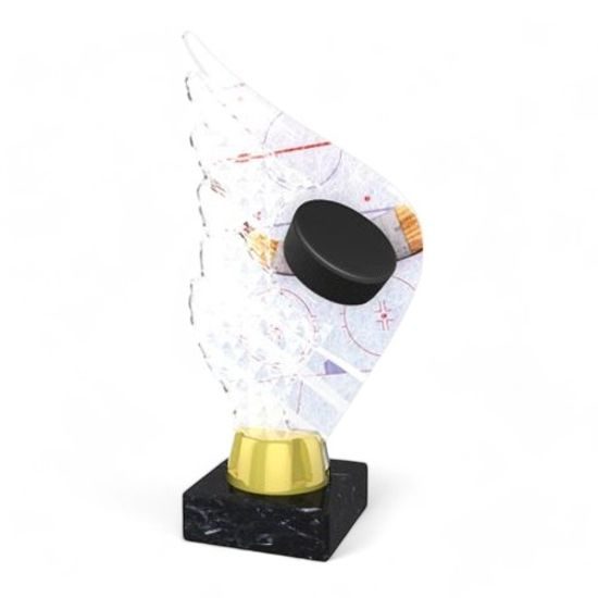 Foxton Ice Hockey Trophy