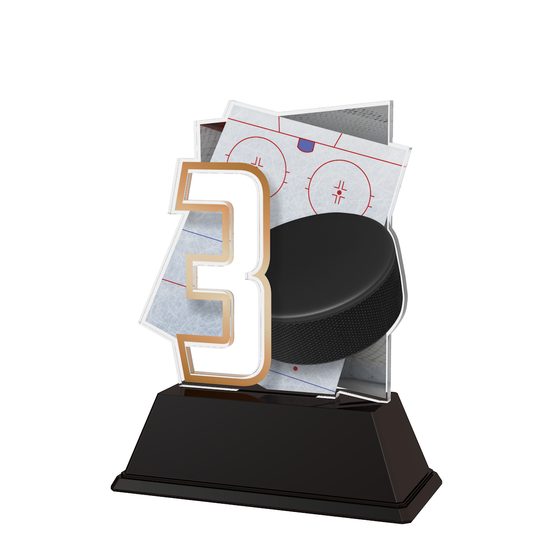 Poznan Ice Hockey Number 3 Trophy