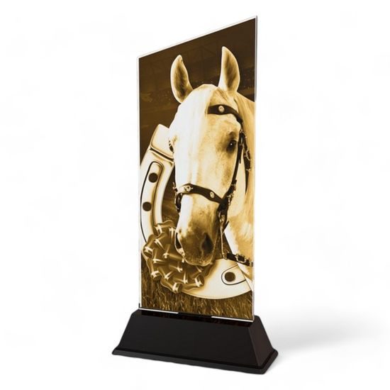 Peak Horse Riding Trophy