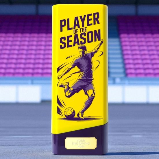 Tower Elite Heavyweight Player of the Season Football Trophy