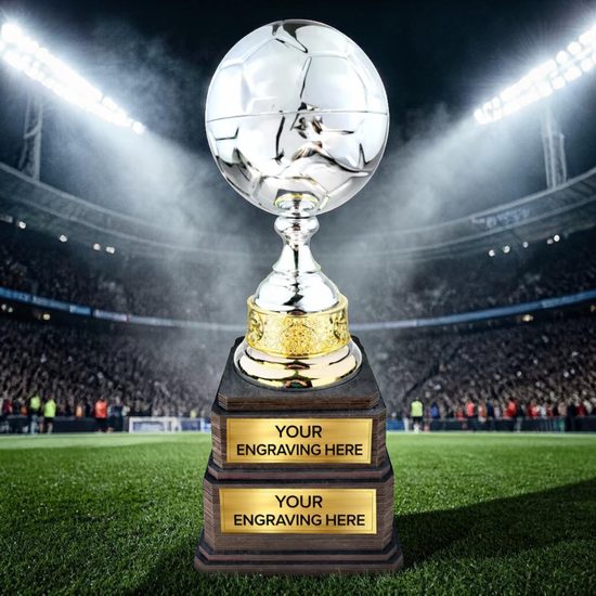 Arena Silver Metal Football Trophy