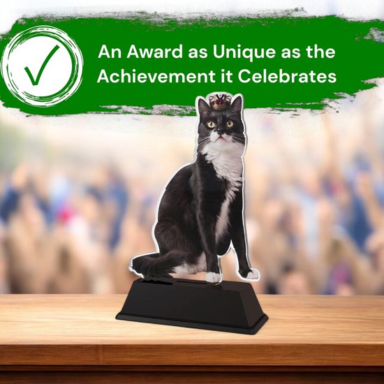 Ostrava Cat Show Trophy
