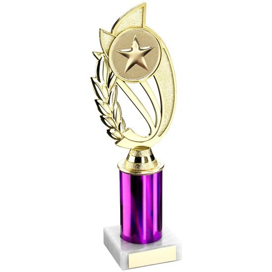 Purple Star Logo Insert Trophy