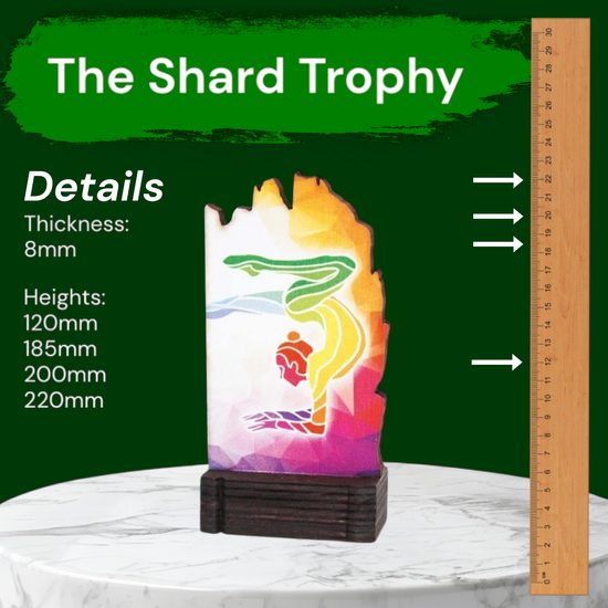 Shard Gymnastics Arts Eco Friendly Wooden Trophy