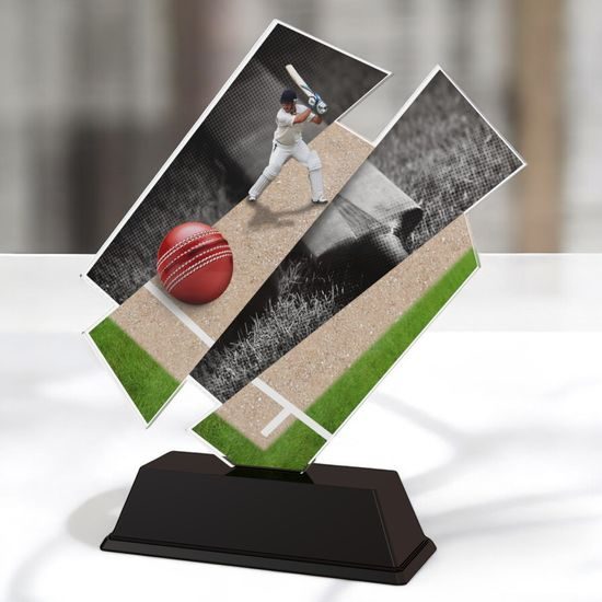 Paris Cricket Trophy