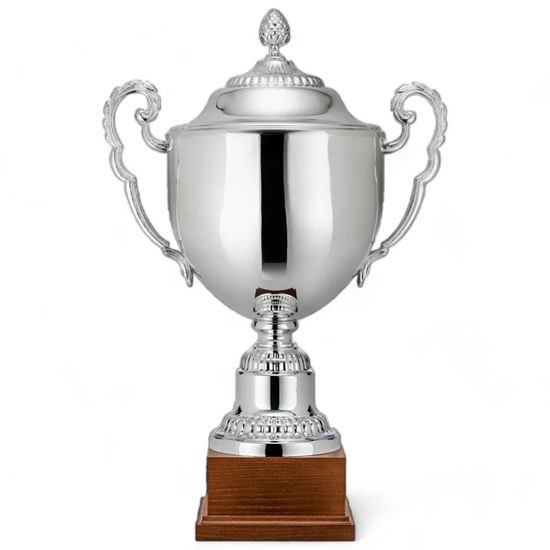 Barella Silver Plated Metal Cup With Lid