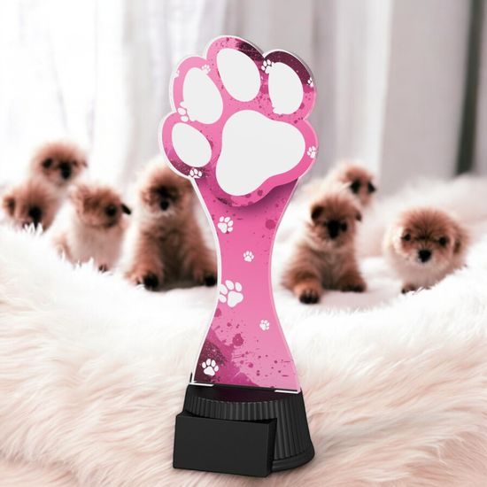 Toto Pink Dog Trophy