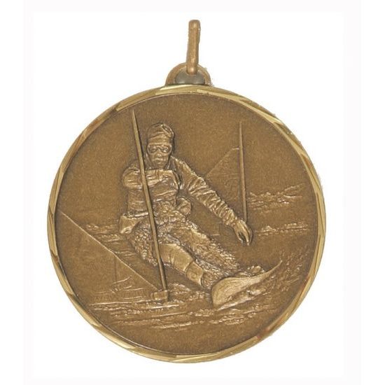 Diamond Edged Snowbard Bronze Medal