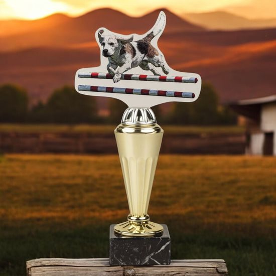 Capri Dog Agility Trophy