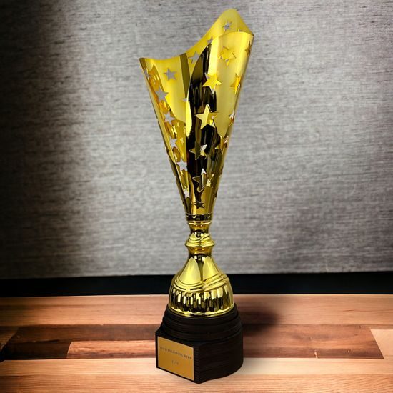Hays Gold Trophy Cone Stars Cup