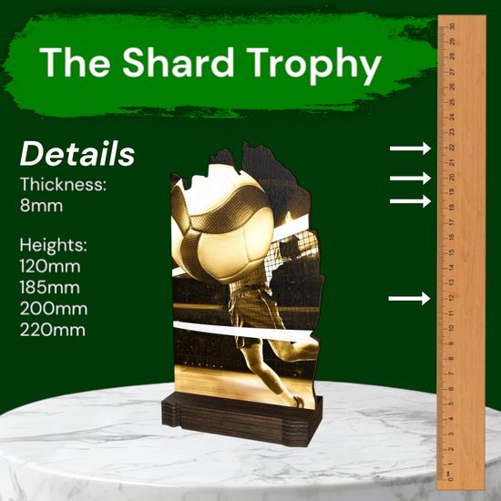 Shard Classic Volleyball Eco Friendly Wooden Trophy