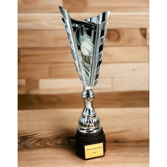 Chester Softball Silver Trophy