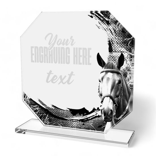 Hutton Horse Riding Glass Award