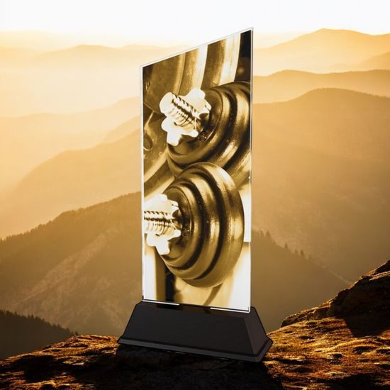 Peak Weightlifing Dumbells Trophy