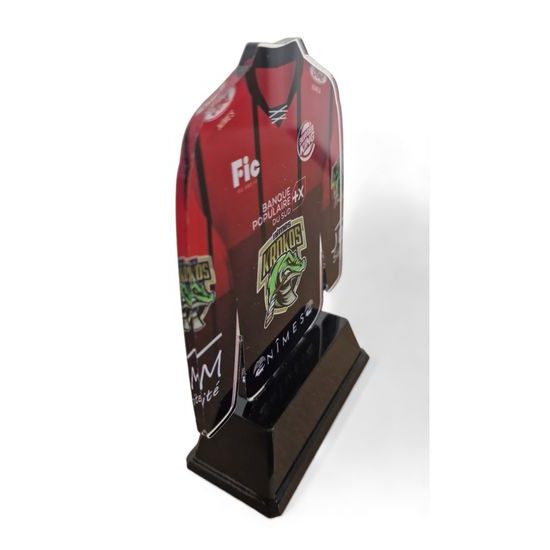 Ice Hockey Shirt Custom Made Acrylic Award