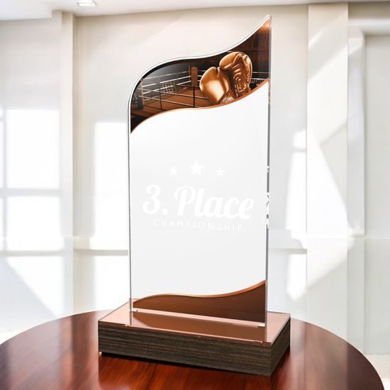 United Boxing Acrylic Wood Fusion Trophy