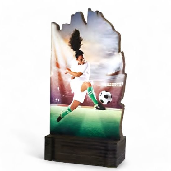 Shard Female Football Eco Friendly Wooden Trophy