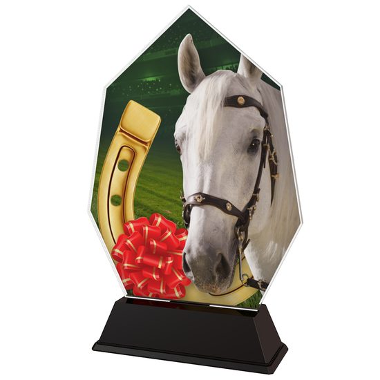 Roma Horse Riding Trophy