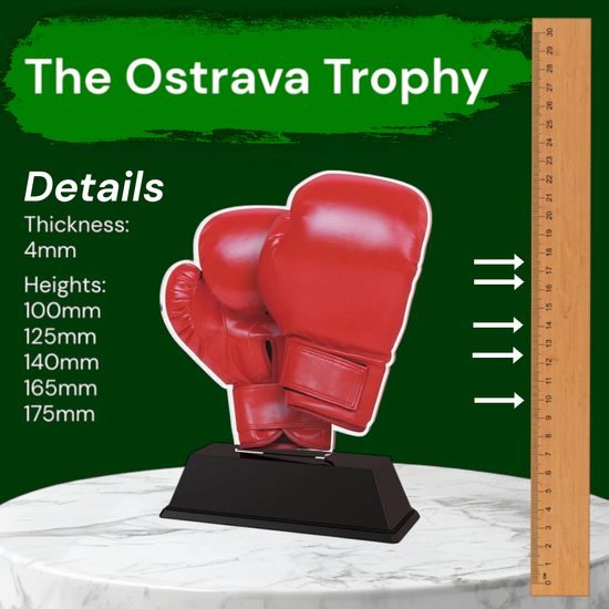 Ostrava Boxing Trophy