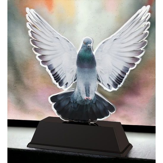 Ostrava Pigeon Racing Trophy