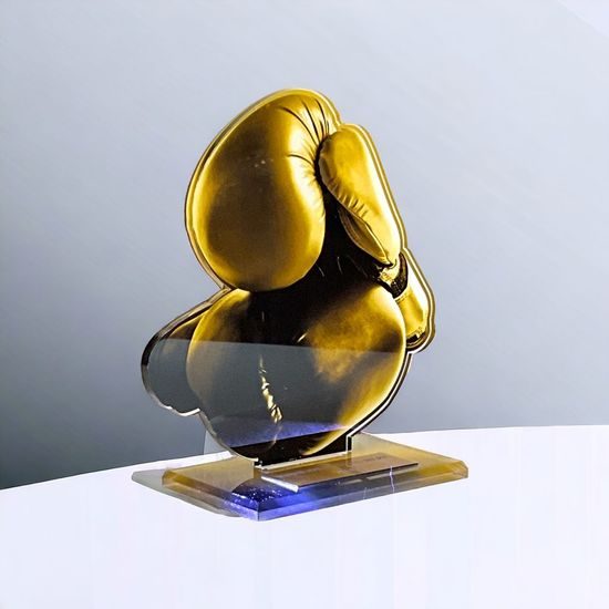 Cannes Classic Boxing Trophy