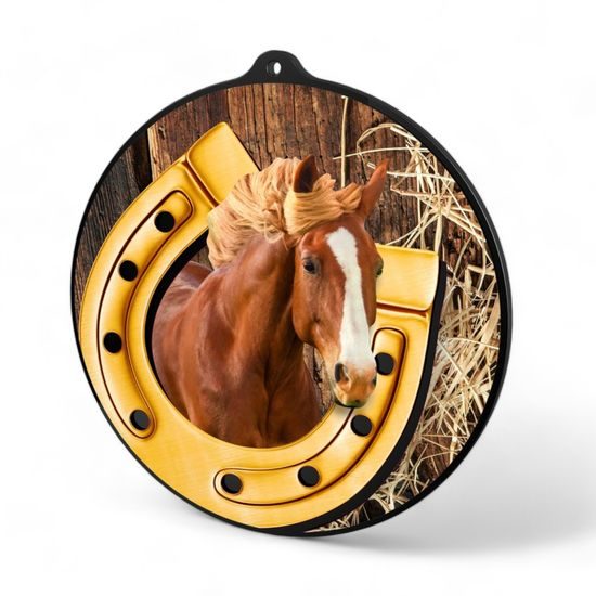 Rincon Colour Horse Riding Black Acrylic Medal