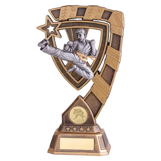 Euphoria Karate Trophy