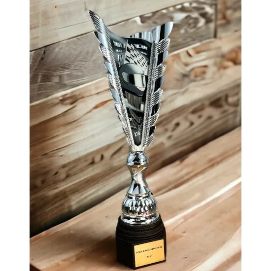 Chester Motorsport Silver Trophy