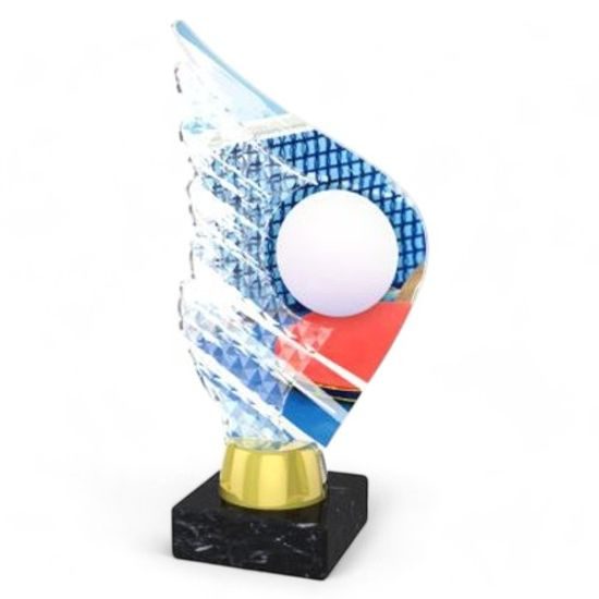 Foxton Table Tennis Trophy